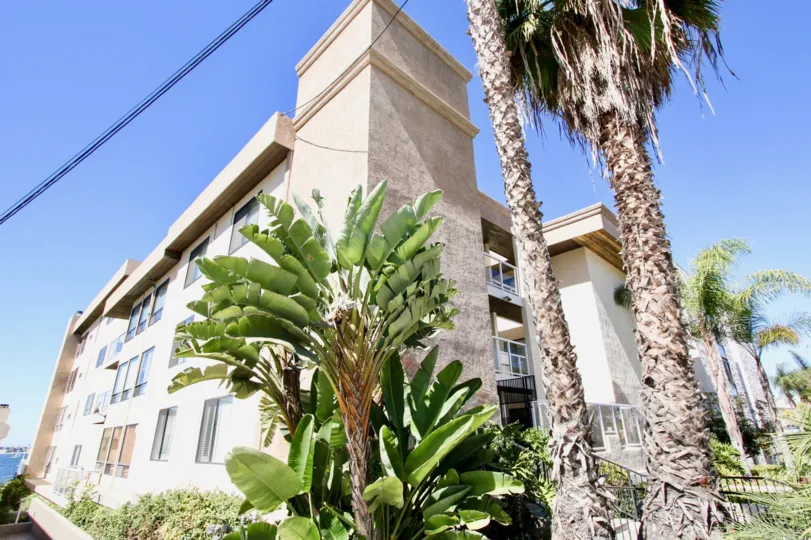 A banana-plant in the Riviera Villas reminds me off the Hindu’s greatest festival.