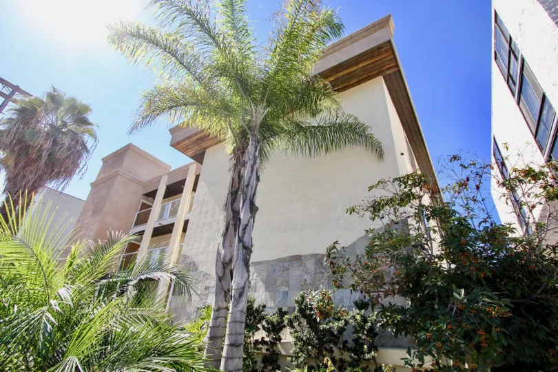 Sunshine and palm trees each day at the Riviera Villas of Pacific Beach, CA.