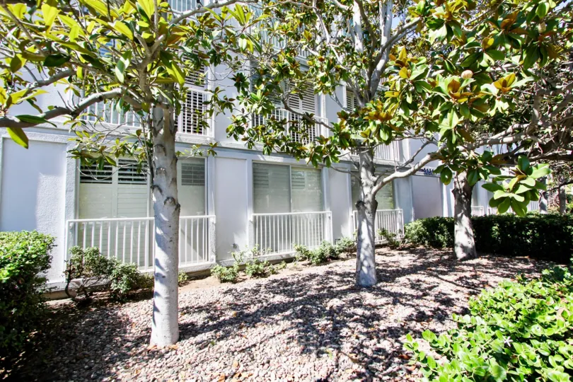 Yard appeal at Sail Bay in Pacific Beach, California.