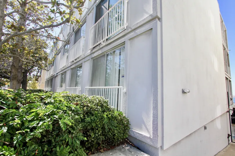 A view from the corner of Sail Bay looking onto the apartment windows and plants.