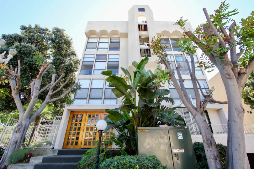 A sunny day in the area of San Remo, outside, high rise, trees, stairs, door, lightpole
