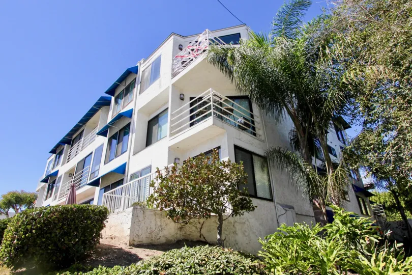 A sunny day at Santa Mariana in Pacific Beach, CA.