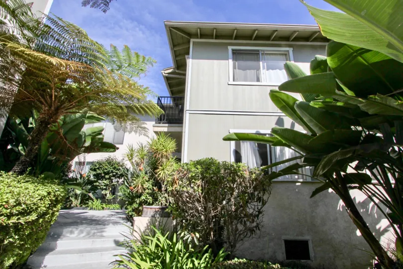 THE BUNGALOW IN THE SCOTT HOUSE WITH THE BANANA TREE, PLANTS, TREES, BALCONI