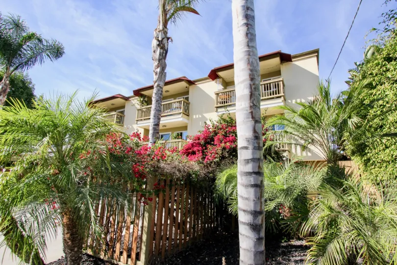 Colourful flowers surrounded with palm trees in front of villa in Sea2Bay on a sunny day of Pacific Beach