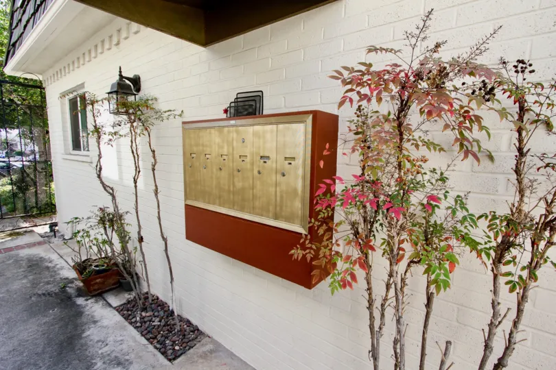 A sunny day in the area of Shasta Palms, mailboxes, flowers, light, outside, condo