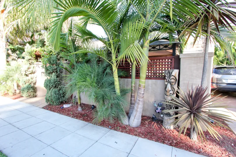 A green view of Sunblend in Pacific Beach, California.