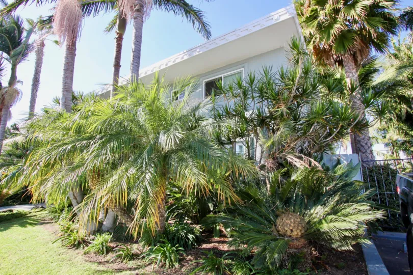 The Heritage on Diamond Gray Building with Landscaping Pacific Beach California