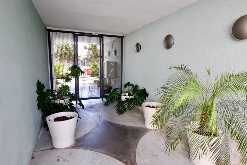 A view of the plants and greenery just inside the gated entrance of The Heritage on Diamond in Pacific Beach, California