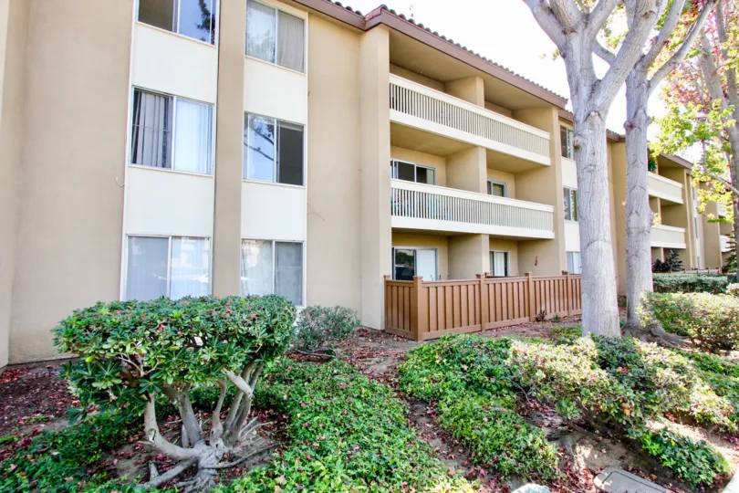 Balconies and fenced patios with mature trees at the Plaza in Pacific Beach, California