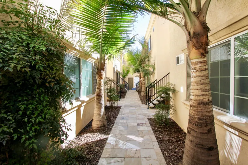 Palm tree lined walkways to staircases at Thomas Avenue Condominiums in Pacific Beach, California