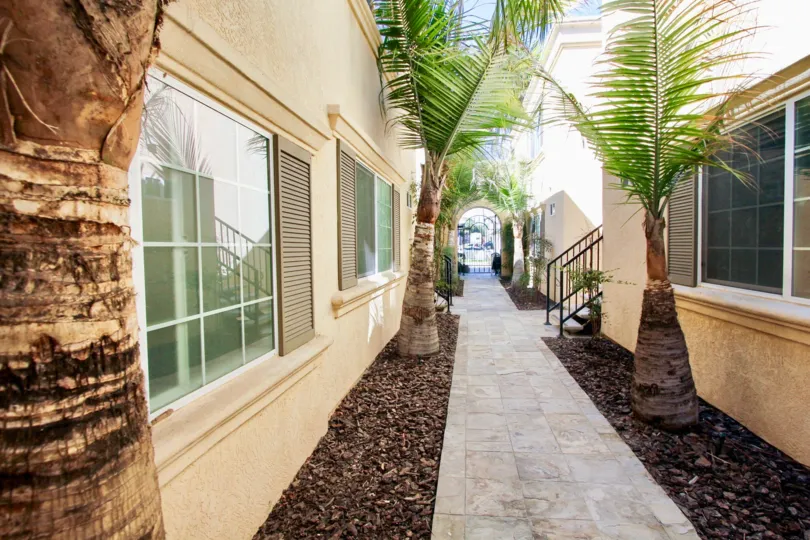 A long sidewalk lined with trees at Thomas Avenue Condominiums inside Pacific Ranch CA