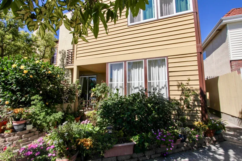 Excellent Garden in front of a Villa on a sunny day in Thomas Beach of Pacific Beach