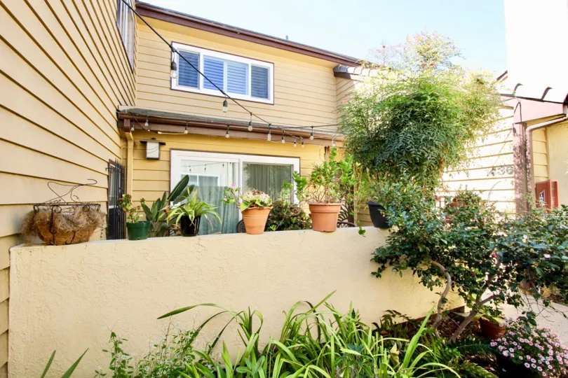 Villa with bright sunshine having garden in Thomas Beach of Pacific Beach