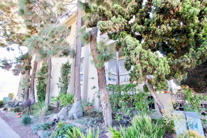 a warm day in the turramurra condominiums with abuilding that is fully covered by trees