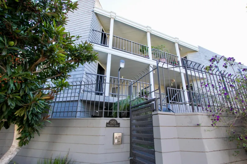 A sunny day in the Venice Park with residential building and plants.