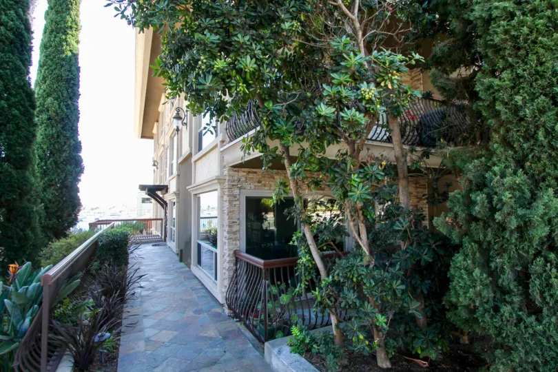 Beautiful Tropical trees surround the building of 2955 In La Playa, Point Loma