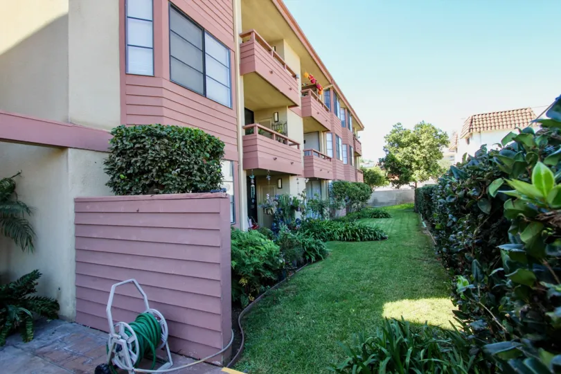 Backyard with overlooking balconies, privacy shrubs and a decent landscaped backyard at Addison Street in Point Loma California