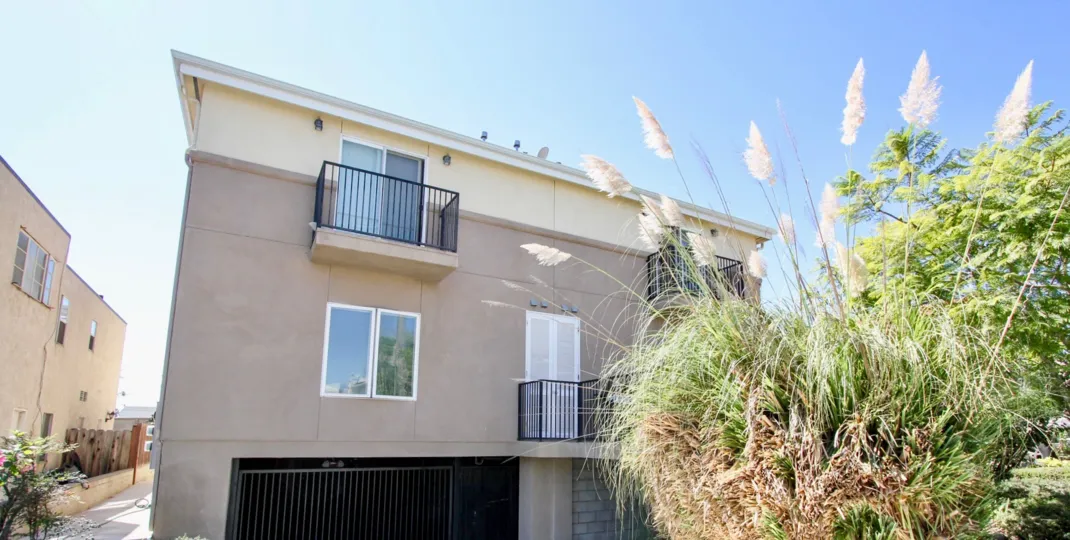 A few wispy white weeds sits in an overgrown bush in Hugo Street Condos