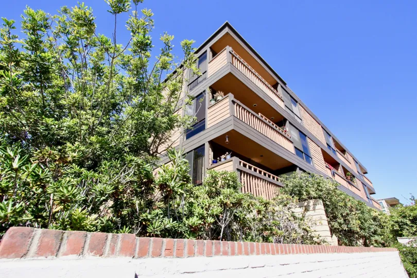 This luxurious building sits in the sun behind beautiful California plantlife