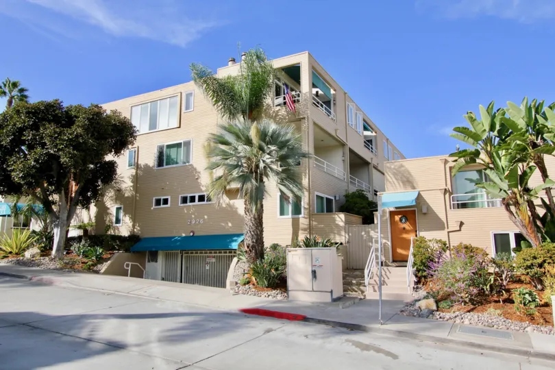 palm trees and beach home located in La Playa Cove