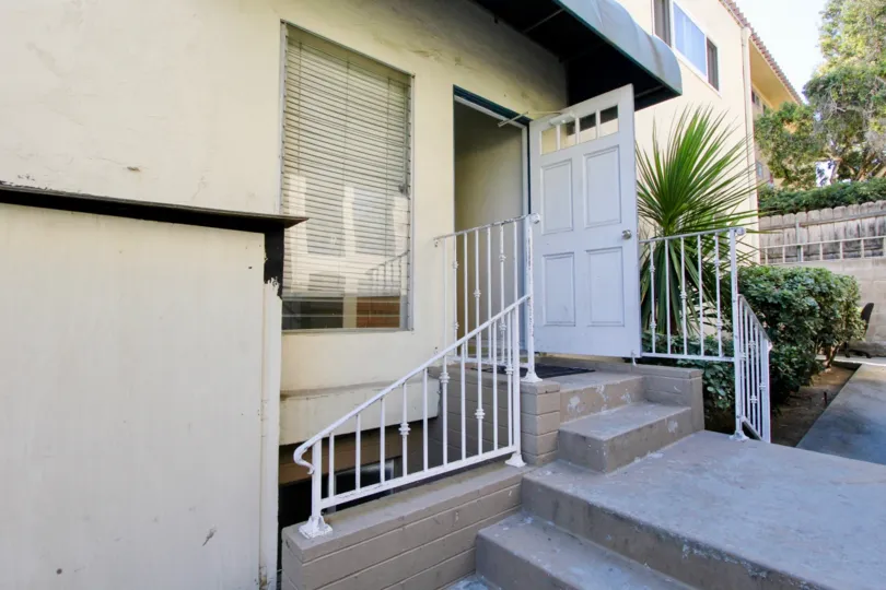 THE APARTMENT IN THE SEAIR WITH PLANTS, TREES, SHED, CLOTHES