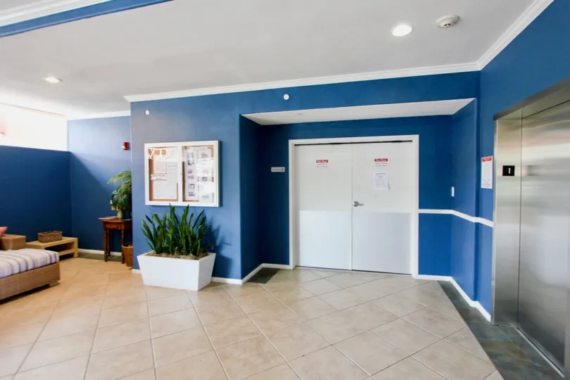bright lights and blue walls in the Yach Club Condos