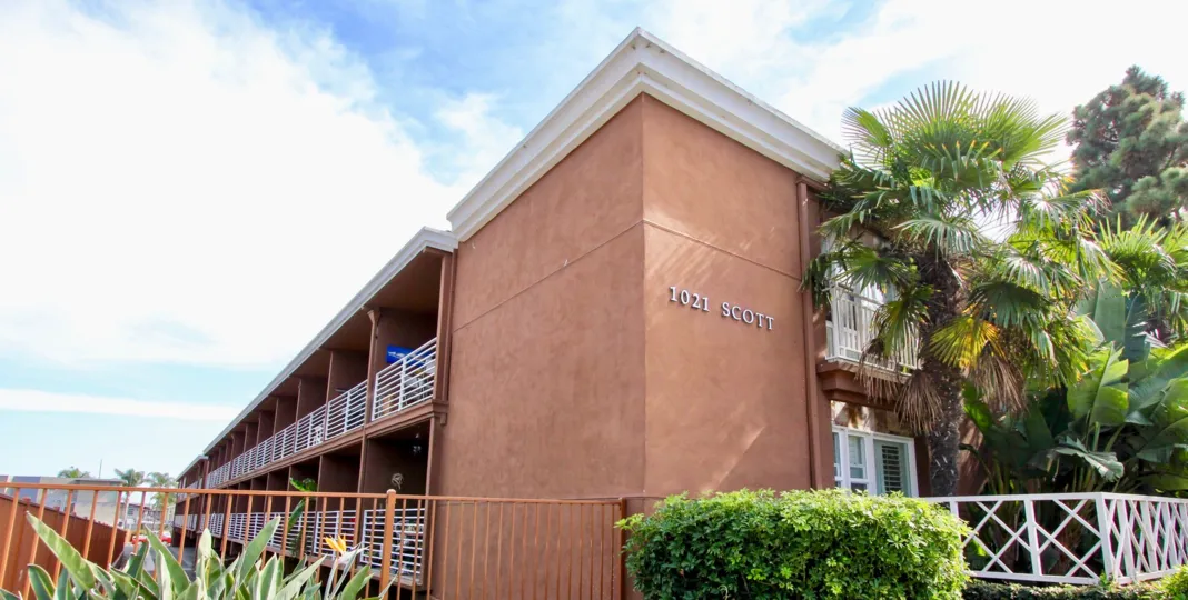 Beutiful palm trees on the side of 1021 Scott at the Yacht Club Condos