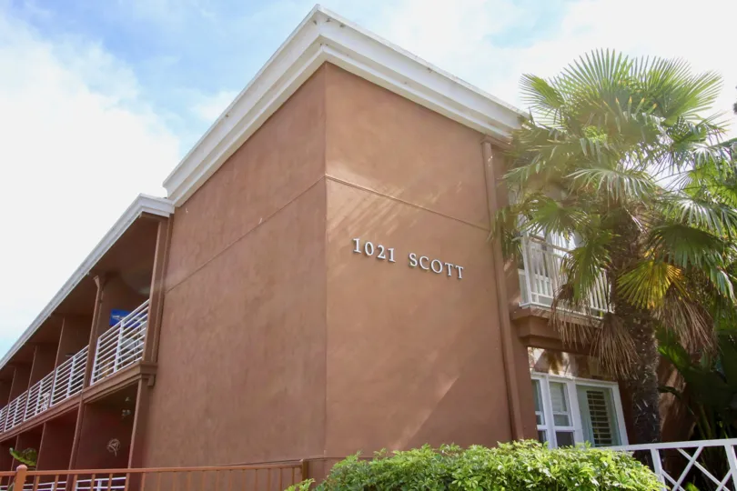 Beautiful Palm Trees on the side of 1021 Scott at the Yacht Club Condos