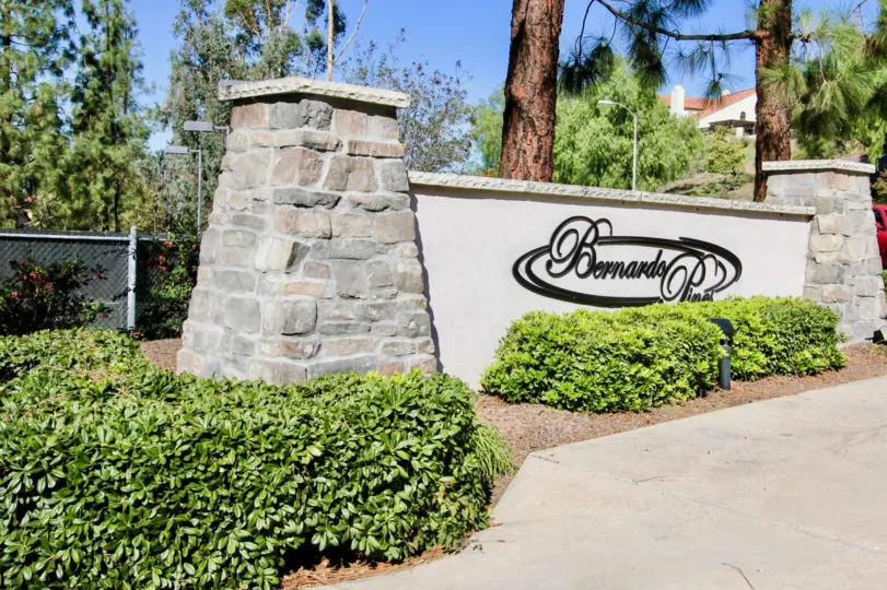 A sunny day in Bernardo Pines with tall trees and bushes
