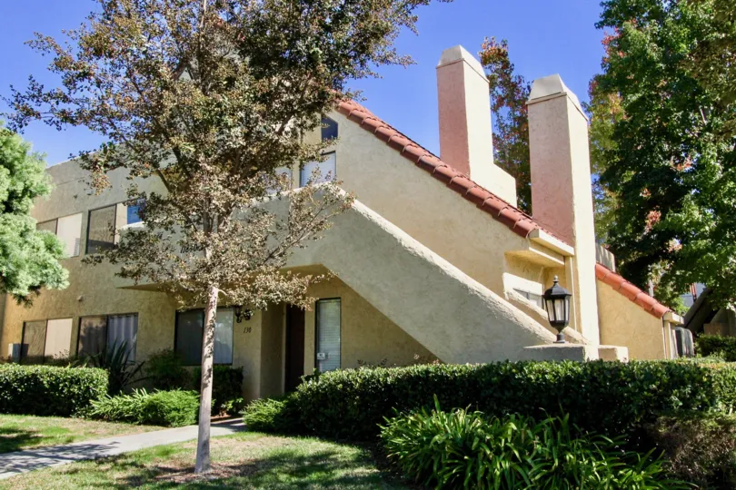 most attractive Bernardo Pines comfortable climate and long and clean way and beautiful garden visit with family in weekend