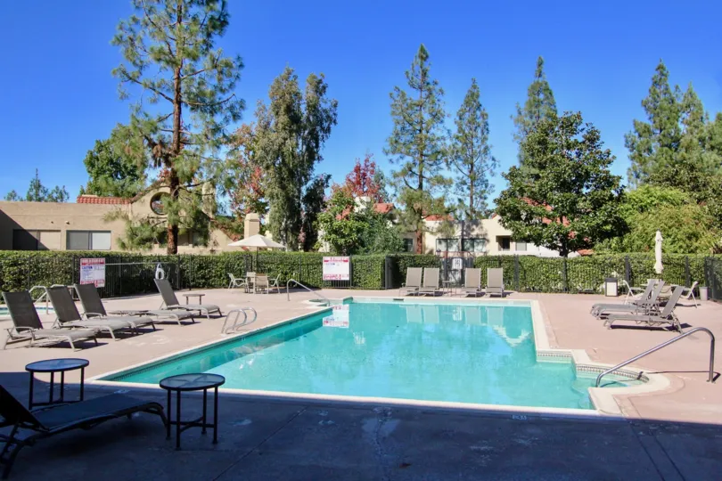A swimming pool with some recliner chairs around it and trees in the background during a sunny day in Bernardo Pines, Rancho Bernardo, CA
