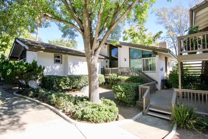 Some houses with a big tree in between and some bushes to the sides during a sunny day in Bernardo Village Green, Rancho Bernardo, CA