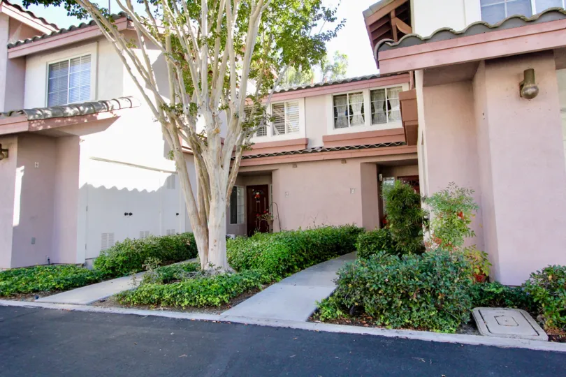 Pink residence with windows and plants at Collage in Rancho Bernardo California