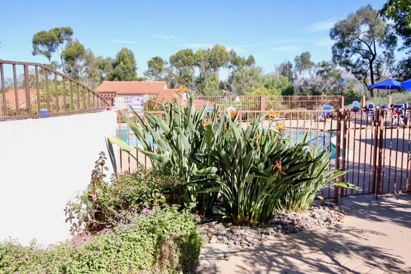 nice and most attractive Garden of the Sun with beautiful garden clean way looking every where greeneryvisit with family in weeken
