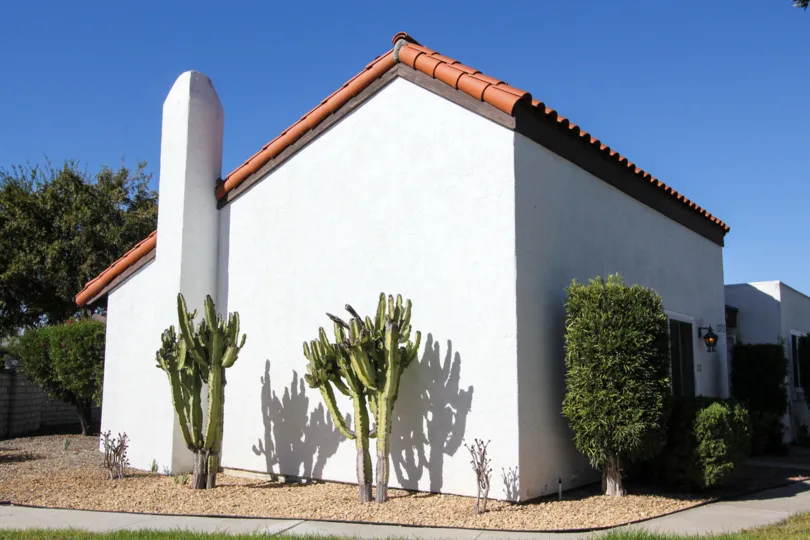 A sunny day in Haciendas has light, plant and grasses
