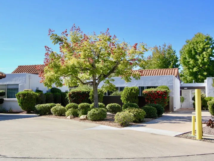 In front of the villa in Haciendas has blossom trees with flowers and has bushes and bushes