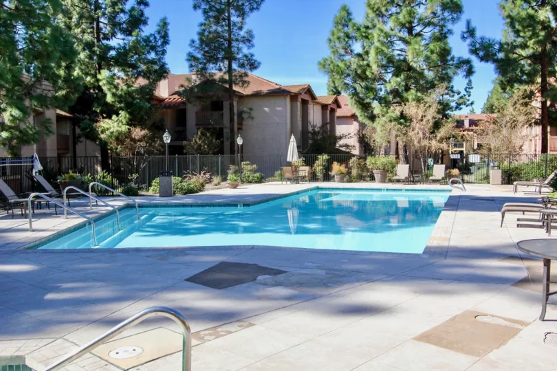In II Palio with tall trees and swimming pool, chairs to relax mind