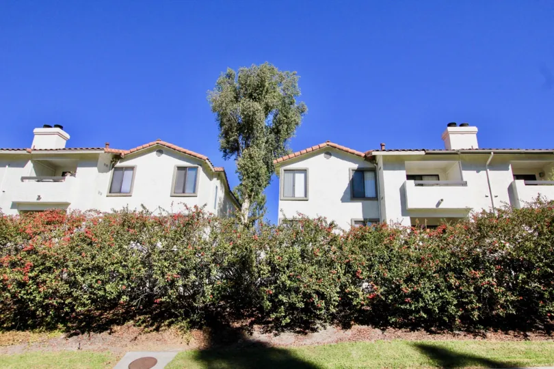 a most attractive Lomas Bernardo with beautiful tree and garden comfortable climate clean way visit with with family in weekend