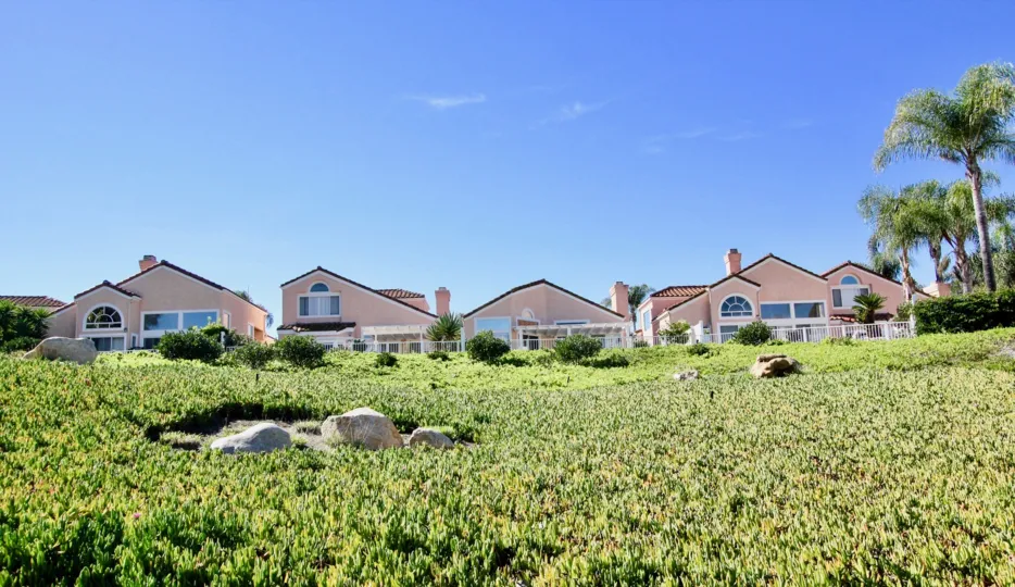 Masters Hill, City: Rancho Bernardo, green grass, back portion of the buidlings
