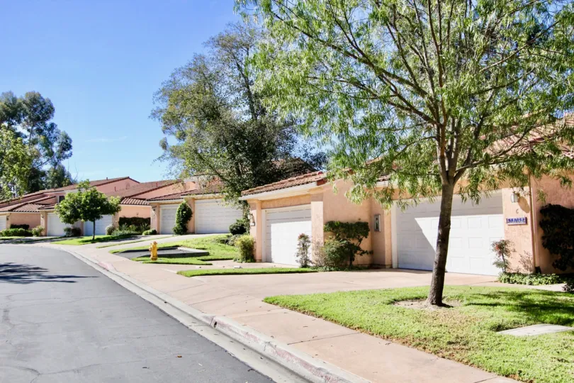 A sunny day in Masters hill has villas on the road side with trees and grass