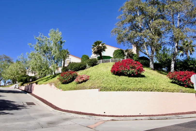 The garden in Masters Hill with grass and bush with flowers