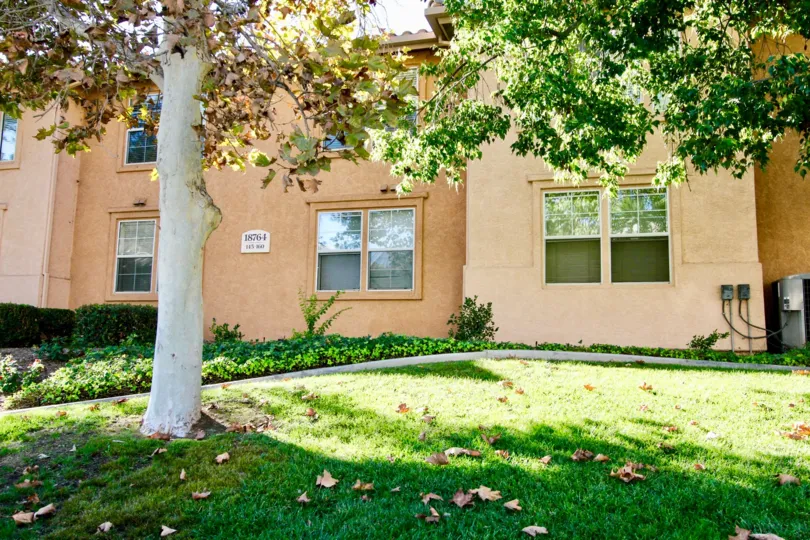 Tree near residence at Morada in Rancho Bernardo California