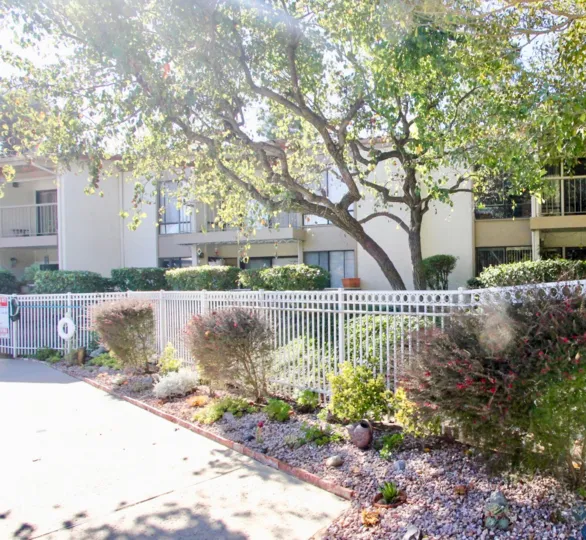 The sunny morning in One Oaks North has plants and trees