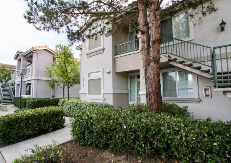 Tall pine tree in front of residential units at Palo Alto in Rancho Bernardo CA