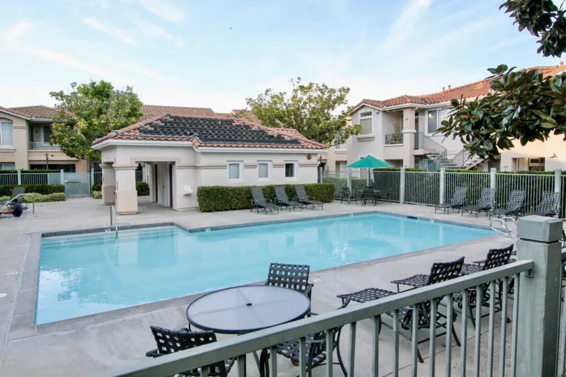 In Palo Alto with Swimming pool and chairs to relax our minds