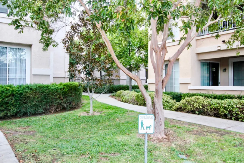 A tree with some lawn, bushes, a path and some houses in the background in Palo Alto, Rancho Bernardo, CA
