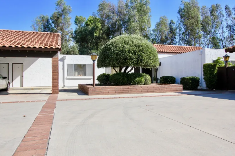 Large tree near a entrance in Seven Oaks Haciendas Rancho Bernardo California