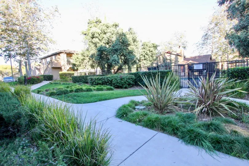 A lush and beautiful garden outside a gated community in rancho bernardo
