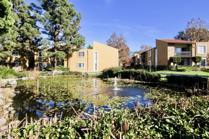 Lake surrounded by plants near condos at Waterbridge in Rancho Bernardo California