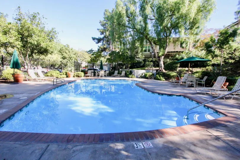 Windham's large blue swimming pool with seating and chairs in Rancho Bernardo CA